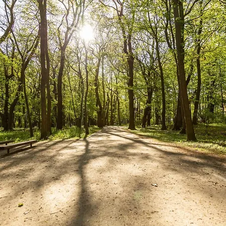 62 - Apartos Bliżej Morza *