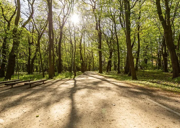 Costa Baltica - Apartos Blizej Morza *